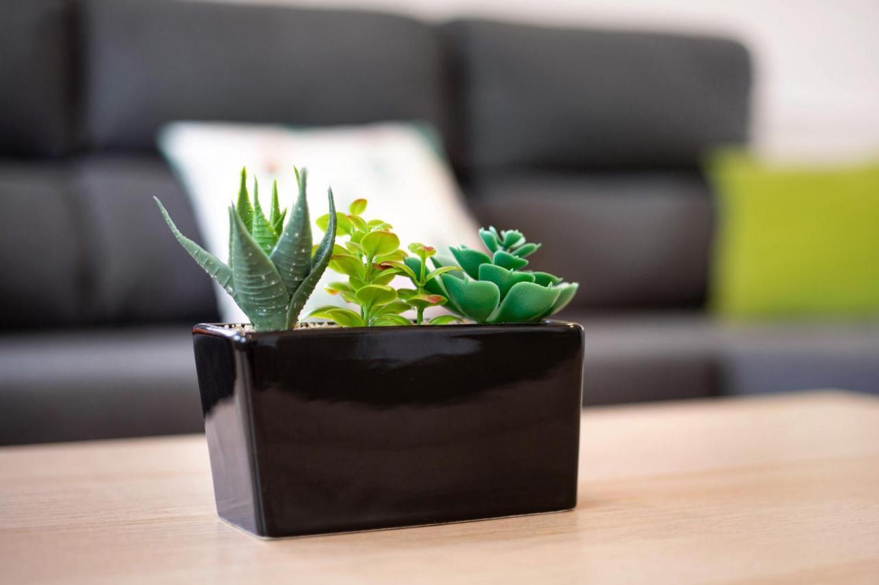 앤티가 Casa Cactus 빌라 외부 사진